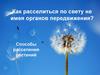 Как расселиться по свету не имея органов передвижения? Способы расселения растений