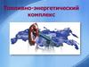 Топливно-энергетический комплекс. Топливная промышленность
