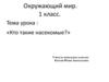Кто такие насекомые? Окружающий мир. 1 класс