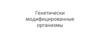Генетически модифицированные организмы