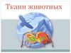 Ткани животных