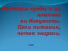 Факторы среды и их влияние на биоценозы. Цепи питания, поток энергии