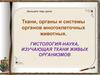 Ткани, органы и системы органов многоклеточных животных