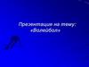 Волейбол