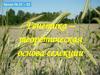 Генетика - теоретическая основа селекции