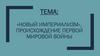 «Новый империализм». Происхождение Первой мировой войны