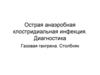 Острая анаэробная клостридиальная инфекция. Диагностика. Газовая гангрена. Столбняк