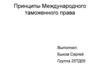 Принципы Международного таможенного права