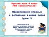 Правописание гласных и согласных в корне слова. Урок 1