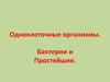 Одноклеточные организмы. Бактерии и Простейшие
