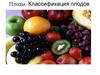Плоды. Классификация плодов