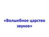 «Волшебное царство звуков»