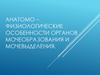 Анатомо-физиологические особенности органов мочеобразования и мочевыделения