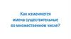 Как изменяются имена существительные во множественном числе