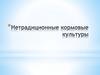 Нетрадиционные кормовые культуры