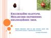 Еволюційні фактори. Механізми первинних еволюційних змін