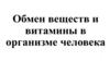 Обмен веществ и витамины в организме человека