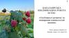 Особливості розвитку та поширення плямистостей малини