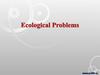 Ecological Problems
