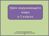 Что вокруг нас может быть опасным  (1 класс)