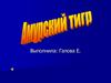 Амурский тигр