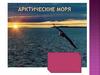 Арктические моря