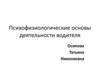 Психофизиологические основы деятельности водителя