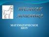 Математическое шоу "Темная лошадка"