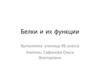 Белки и их функции