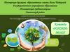 Электронный дневник республиканского проекта «ЭкоТимуровцы»
