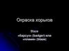 Окраска хорьков