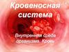 Кровеносная система