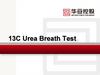 13C Urea Breath Test