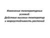 Изменение температурных условий. Действие высоких температур и жароустойчивость растений