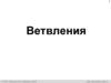 Ветвление. Выбор наибольшего из двух чисел