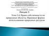 Право собственности на природные объекты. Правовые формы использования природных ресурсов  (лекция 3)