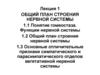 Общий план строения нервной системы  (лекция 1)