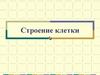 Строение клетки