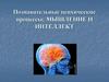Познавательные психические процессы: мышление и интеллект