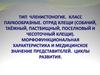 Тип Членистоногие. Класс Паукообразные. Отряд Клещи. Морфофункциональная характеристика и медицинское значение