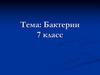 Классификация бактерий