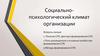 Социально - психологический климат организации