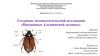 Создание энтомологической коллекции «Насекомые Альминской долины»