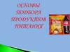 Основы подбора продуктов питания