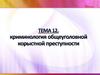 Криминология общеуголовной корыстной преступности. Тема 12