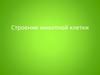 Строение животной клетки