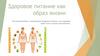Здоровое питание как образ жизни