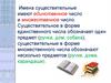Имена существительные имеют единственное число и множественное число. Существительное в форме единственного числа