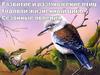 Развитие и размножение птиц. Годовой жизненный цикл. Сезонные явления