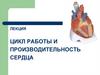 Цикл работы и производительность сердца